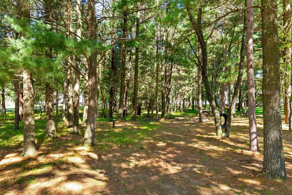 Tree Lined Path to the Lake
