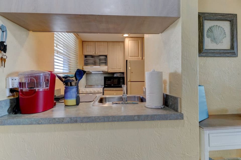 Daytona Beach Vacation Rental Pet Friendly Airbnb