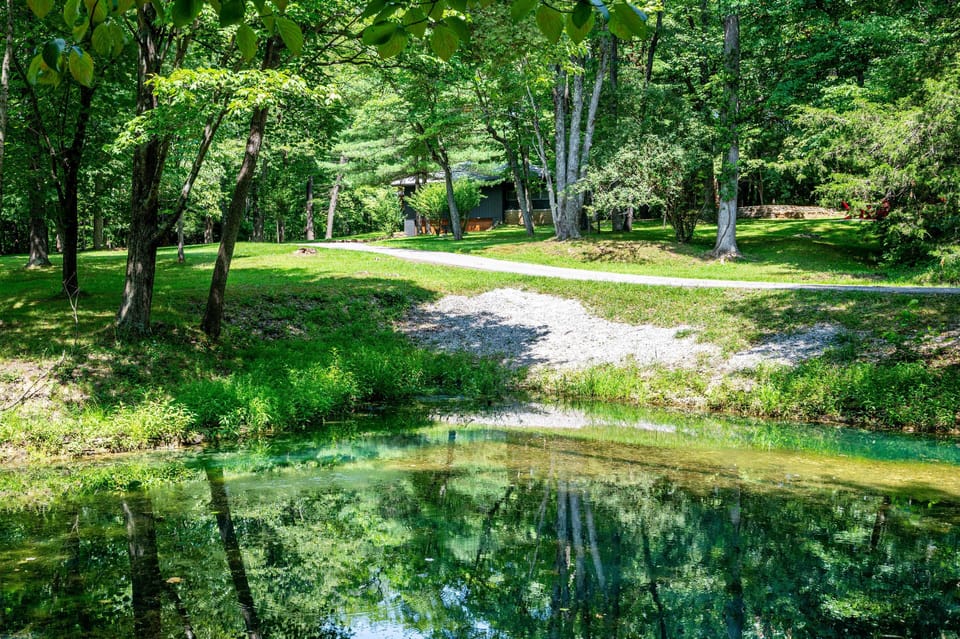 Clear water of the private pond reflects tall trees and dense greenery on the shaded 5-acre wooded property.