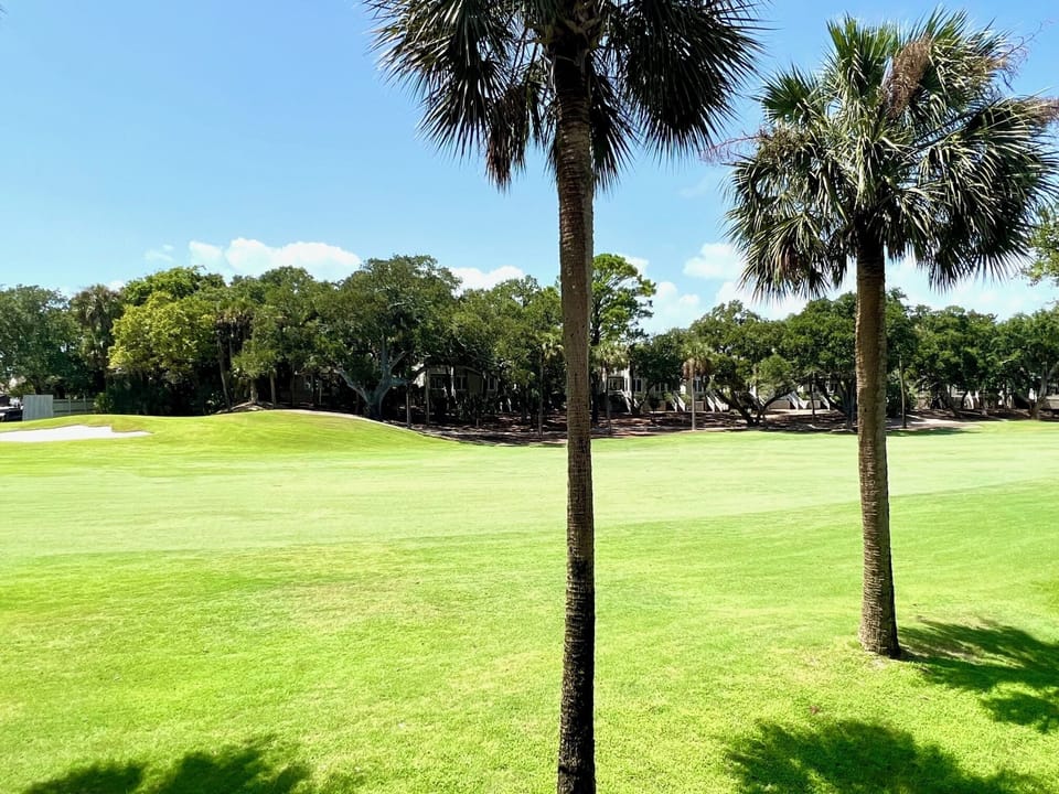 Enjoy stunning views of the lush Lowcountry and spot abundant wildlife around the golf course. Palm trees and scenic ponds make every hole picturesque!