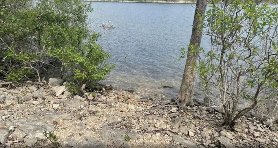 Explore the path to the lake edge