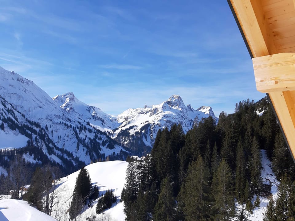 View from property