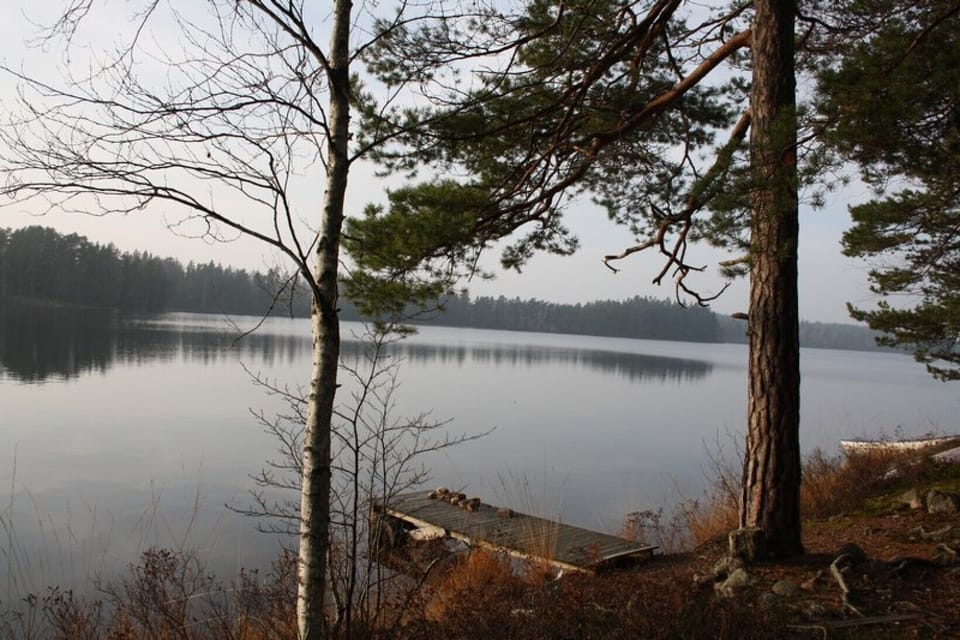 the lake