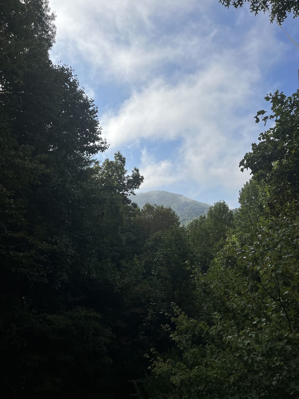 View from the bedroom window