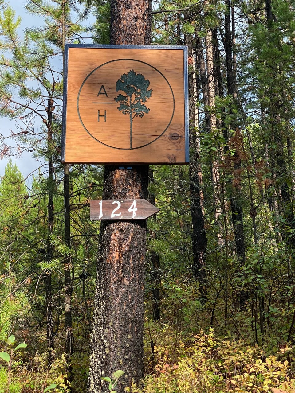 Welcome to Aspen Hollow!