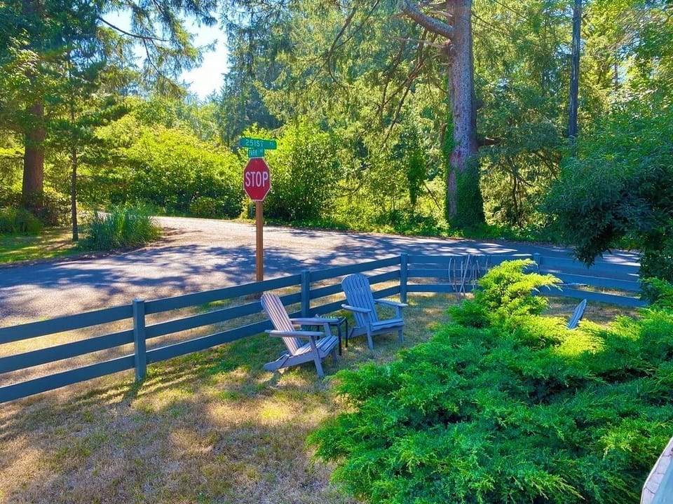 Pine forest across the street and beach just beyond