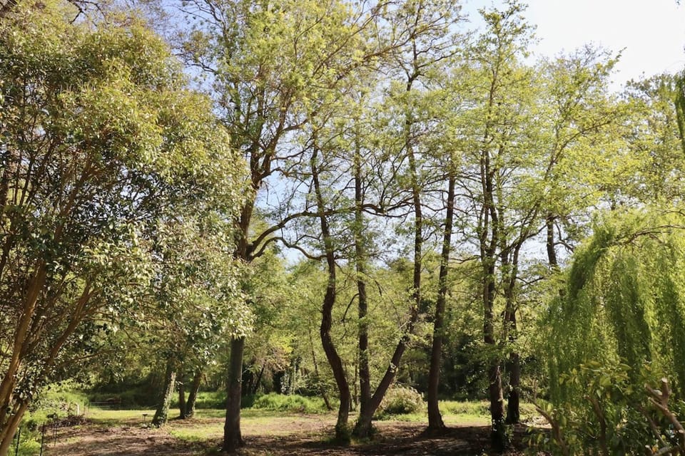 Gites Terra di a Bravona - Appartement Elia Vue sur Parc