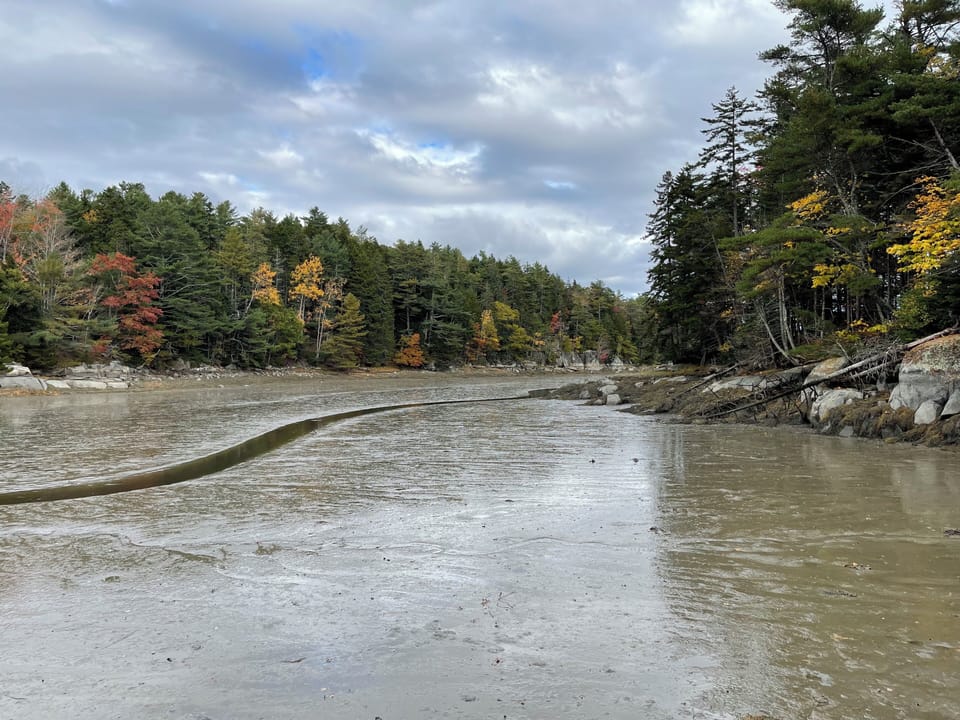 The cove at low tide - mud!