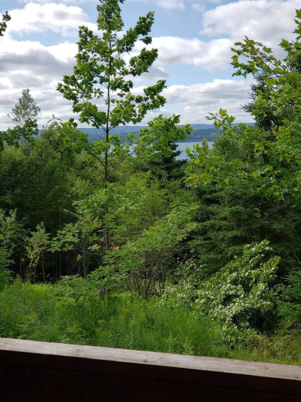 View from property