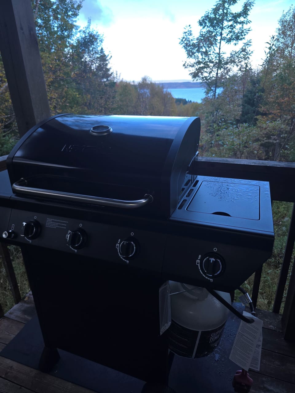 Propane BBQ with side burner.