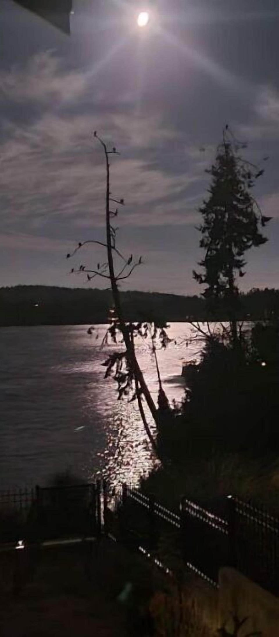 Moon lit magic!