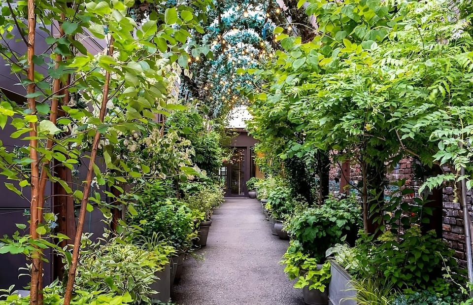 Stroll through a leafy courtyard path strung with twinkling lights.