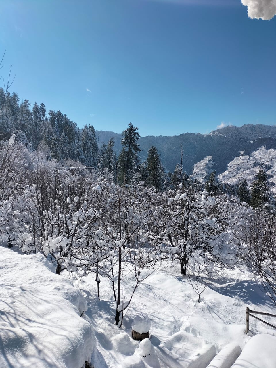 Snow and ski sports