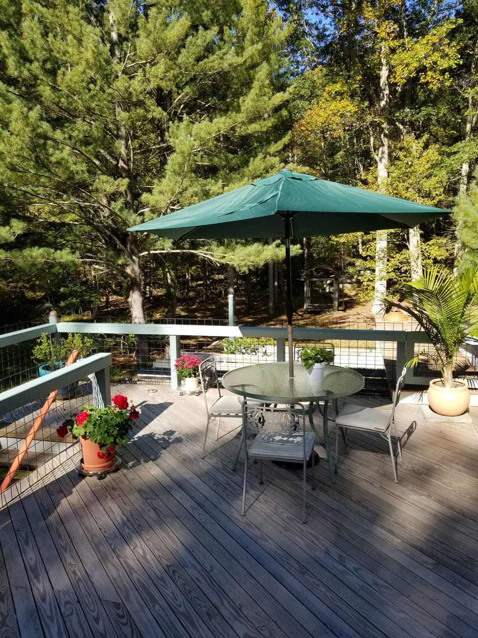Deck looking to Rear Yard