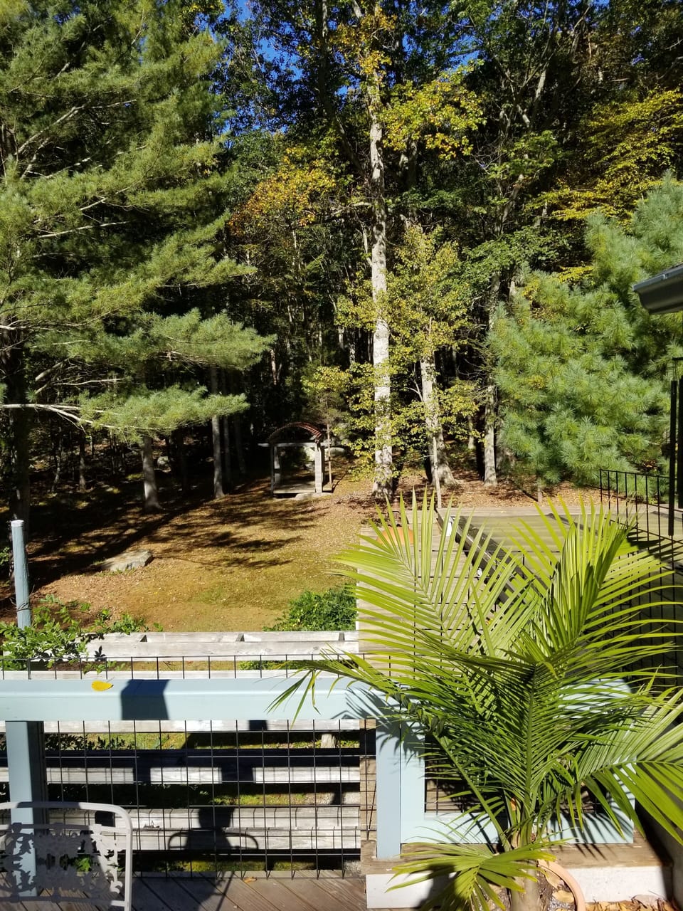 View from Deck