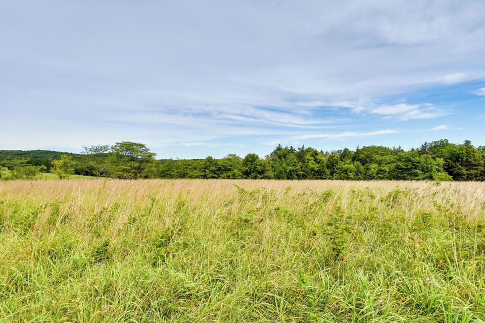 Mark Twain National Forest Access On-Site | Hunting Nearby