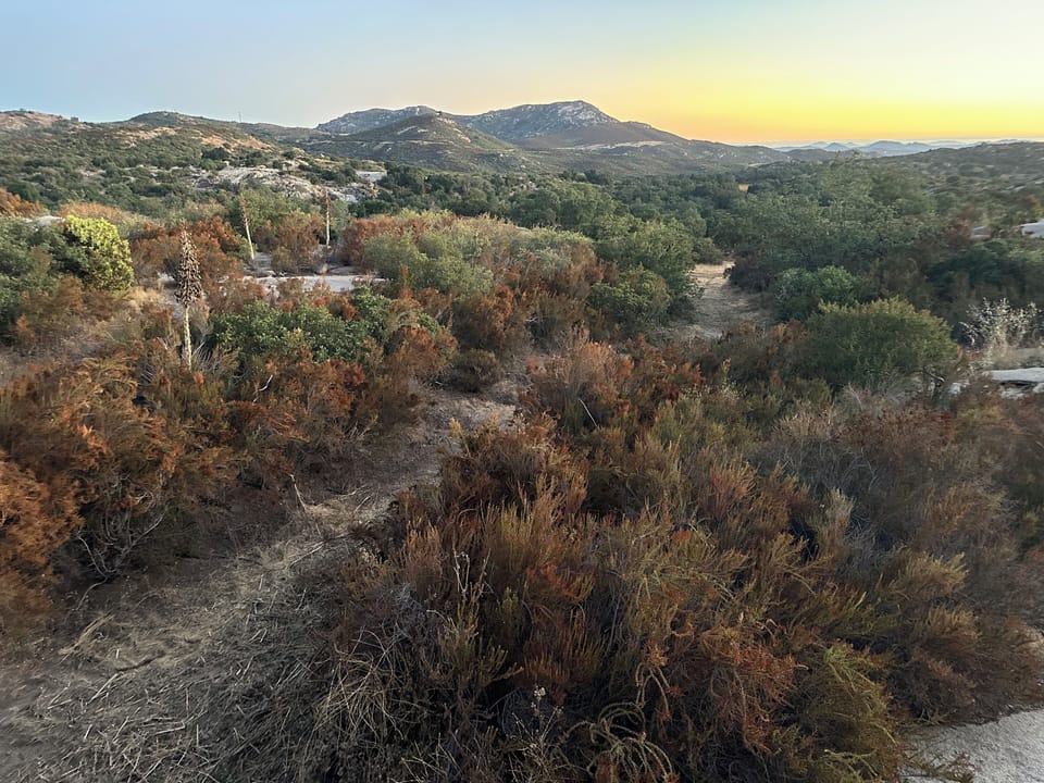 9 acres of trails to explore
