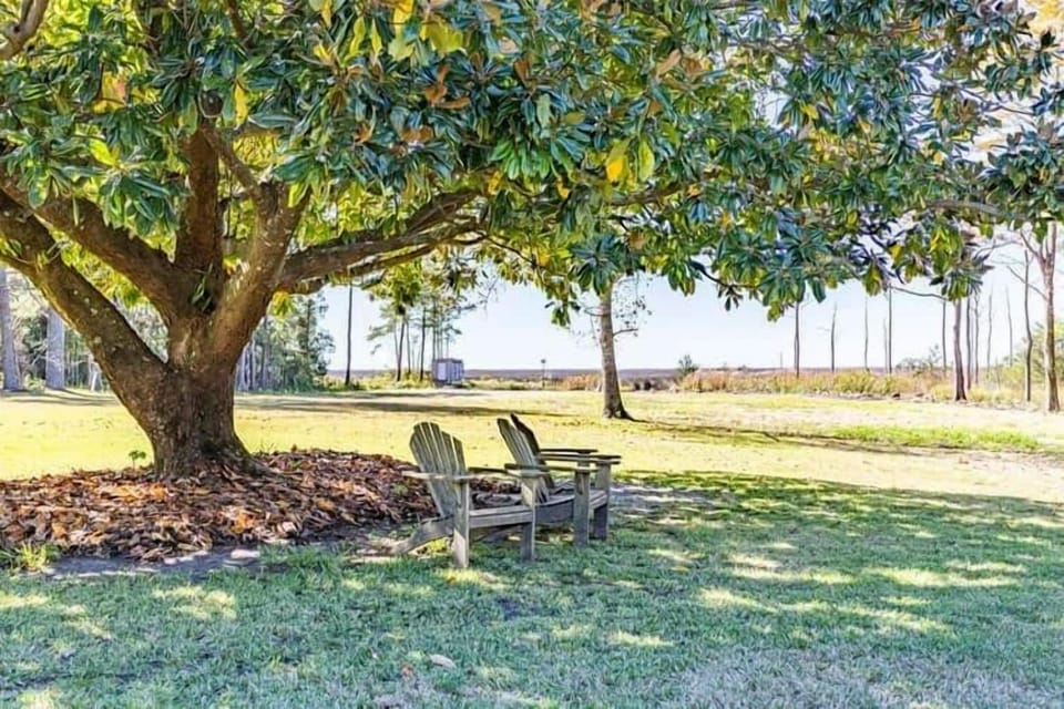 The Grounds