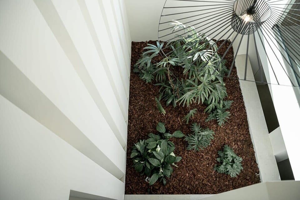 Serene Interiors Highlighted by Green Hues