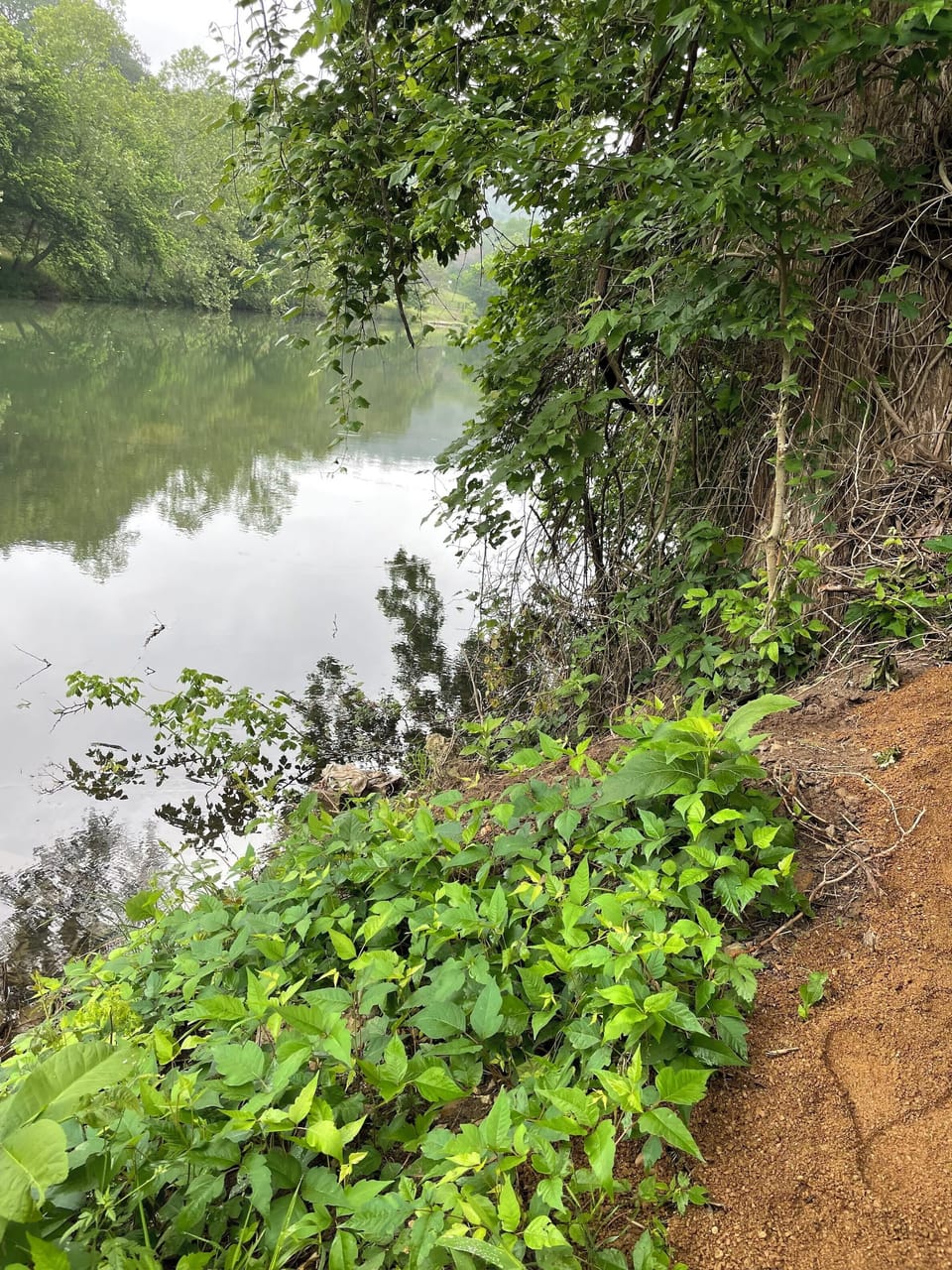 Steep entry and exit to river