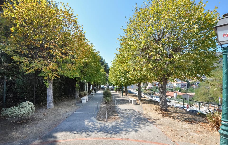 area