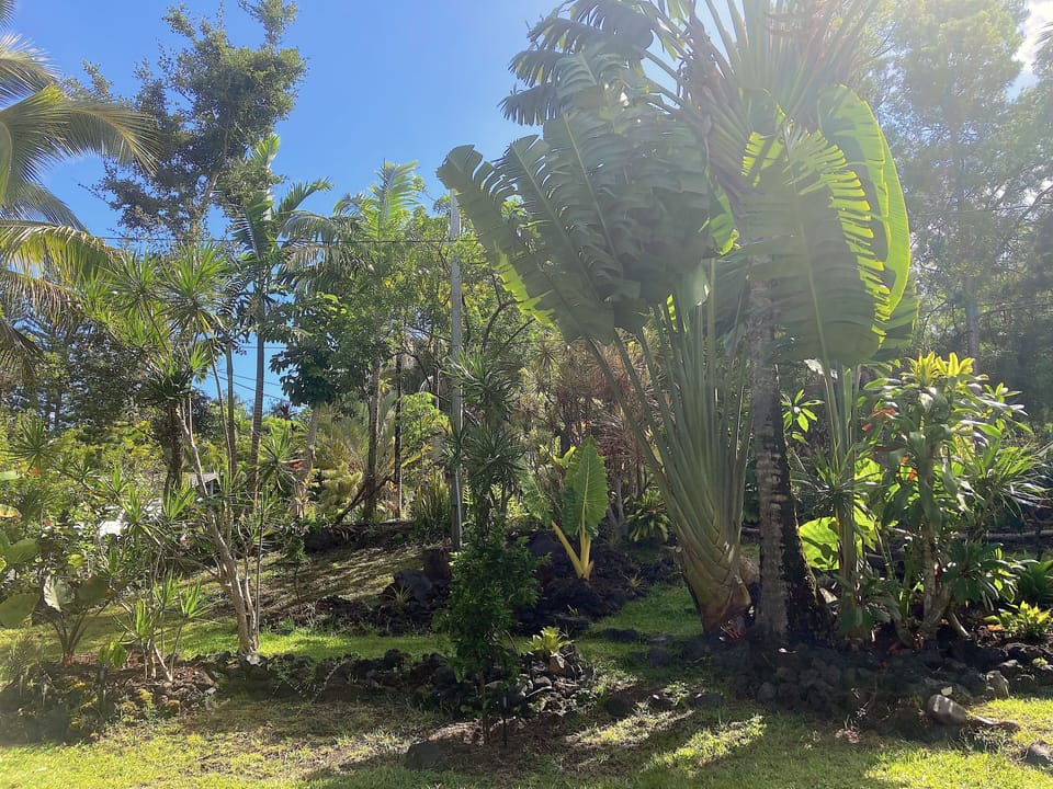 Front Yard