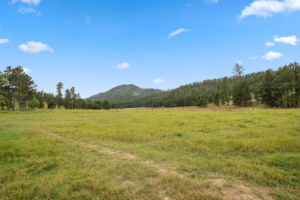 Behold a breathtaking masterpiece of nature`s artistry – the panoramic view of the Black Hills.