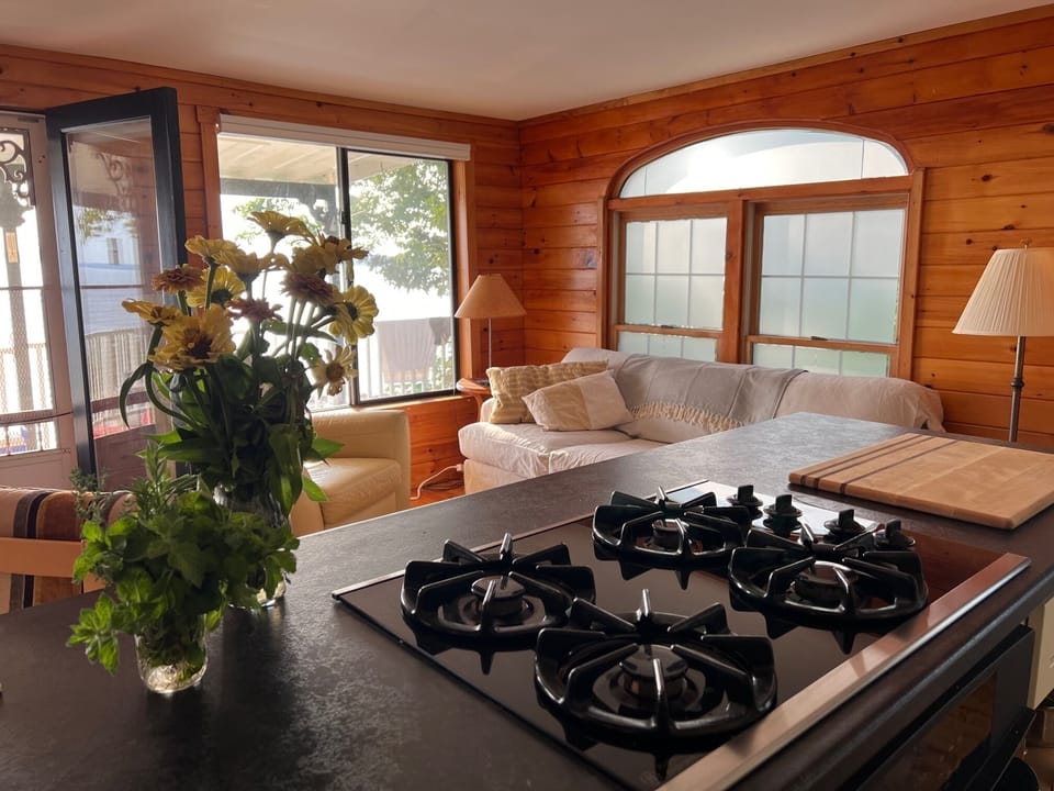 view from kitchen