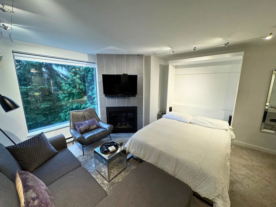 Living room with new pull-out Murphy bed