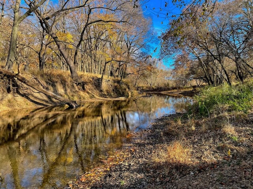 Middle Creek runs on the edge of our property
