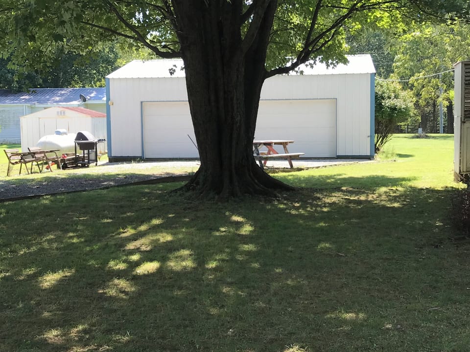 Shaded back yard
