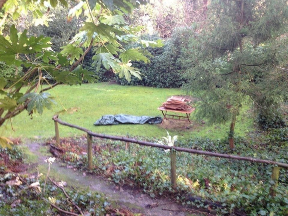Back Garden