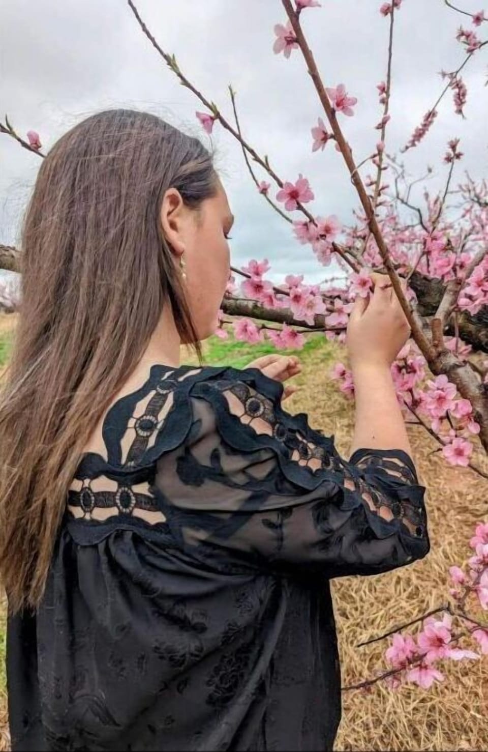 Spring is a wonderful time to experience the peach trees in bloom