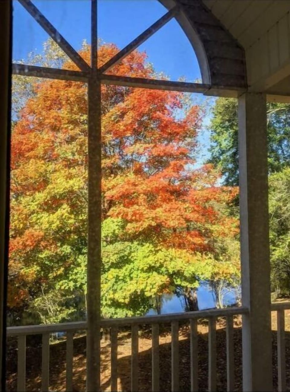 Leaf peep at the farm, located off Cherokee Foothills Scenic Byway