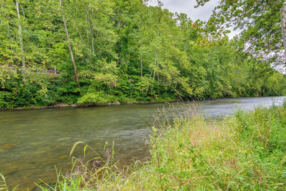 Sinnamahoning Creek On-Site | Nearby State Park
