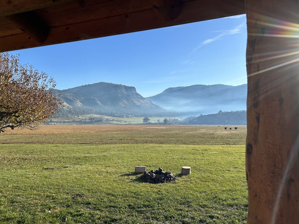 View from property