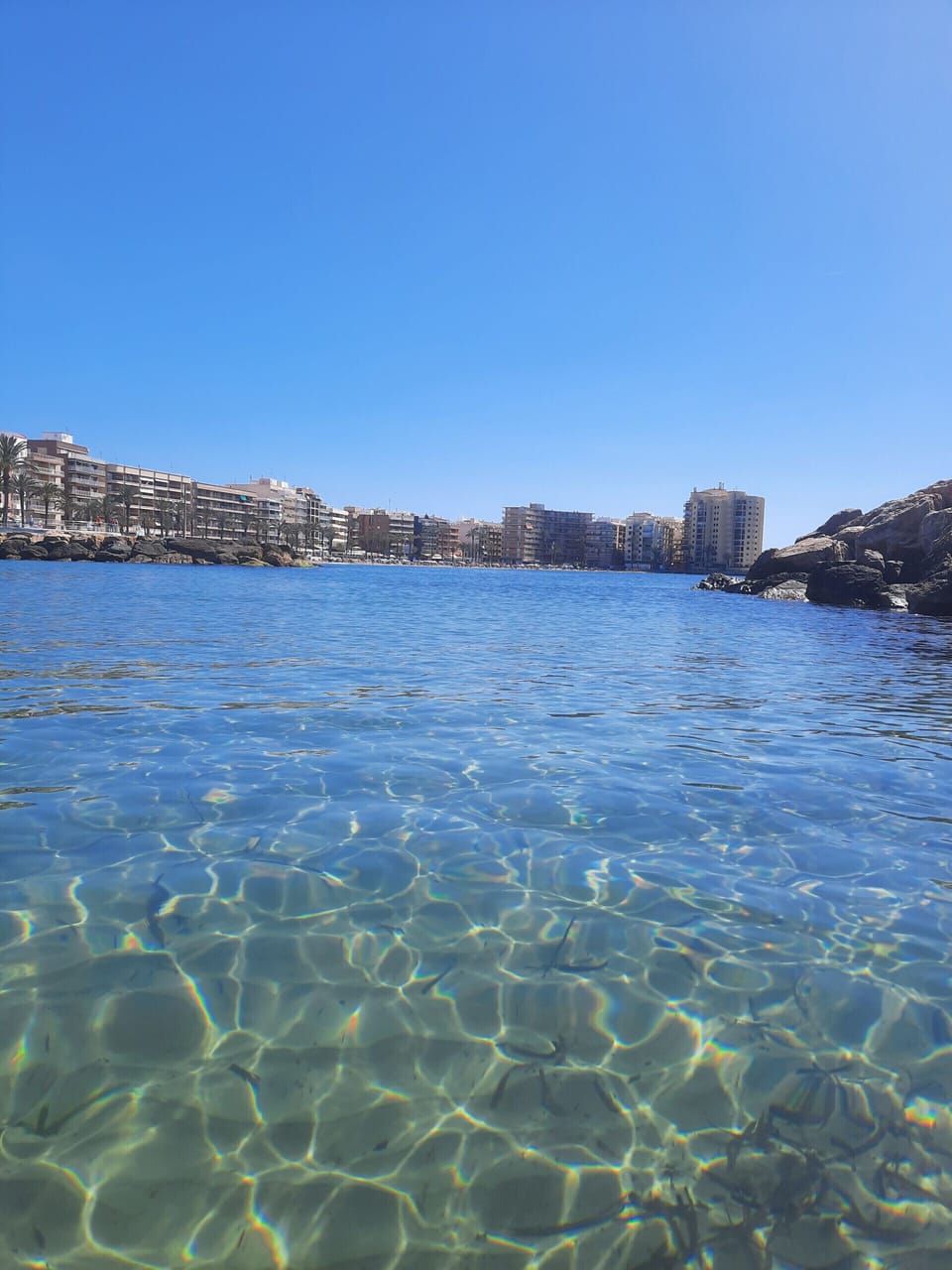 Miscellaneous