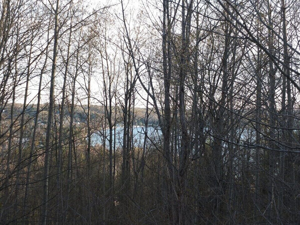 EXTERIOR:  Deck:  A nice view of the eastern end of Crystal Lake looking through the trees from the deck