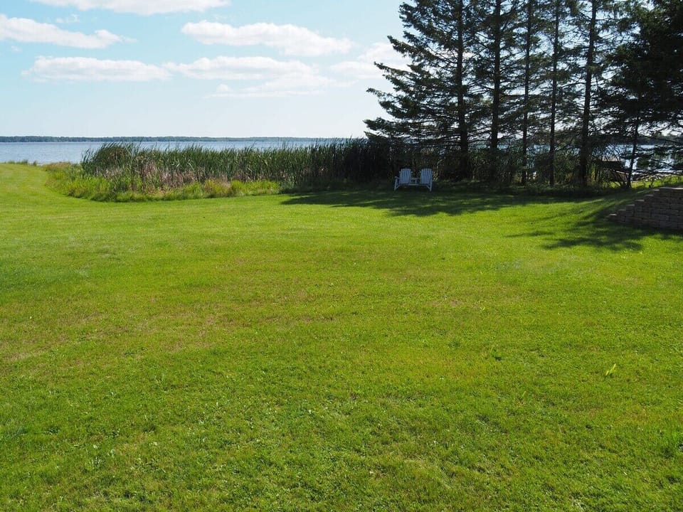 EXTERIOR:  The large lakefront backyard