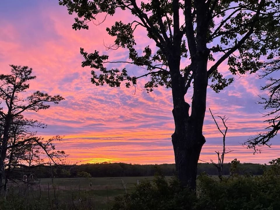 Spectacular sunset from the back porch