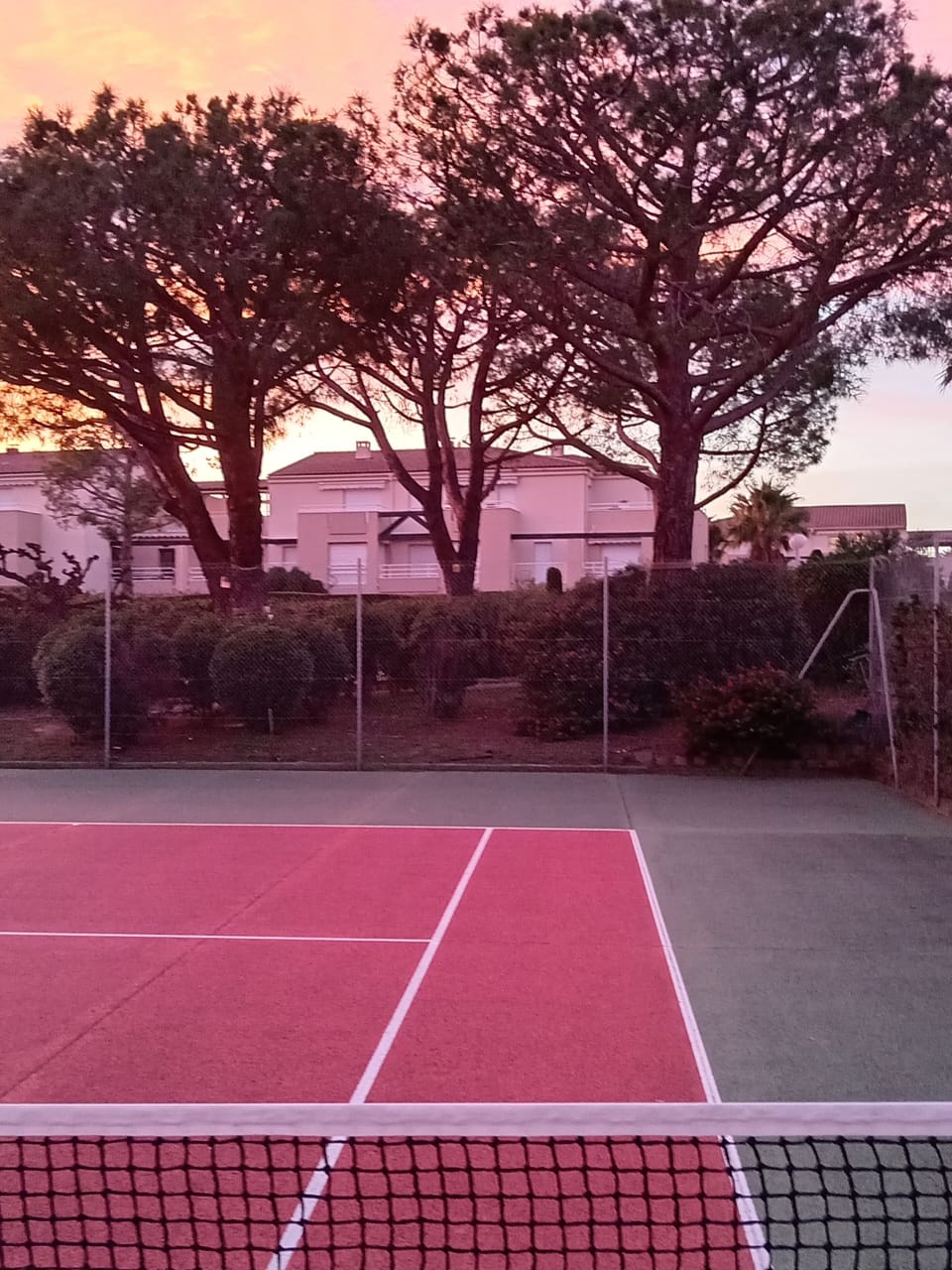 Sport court