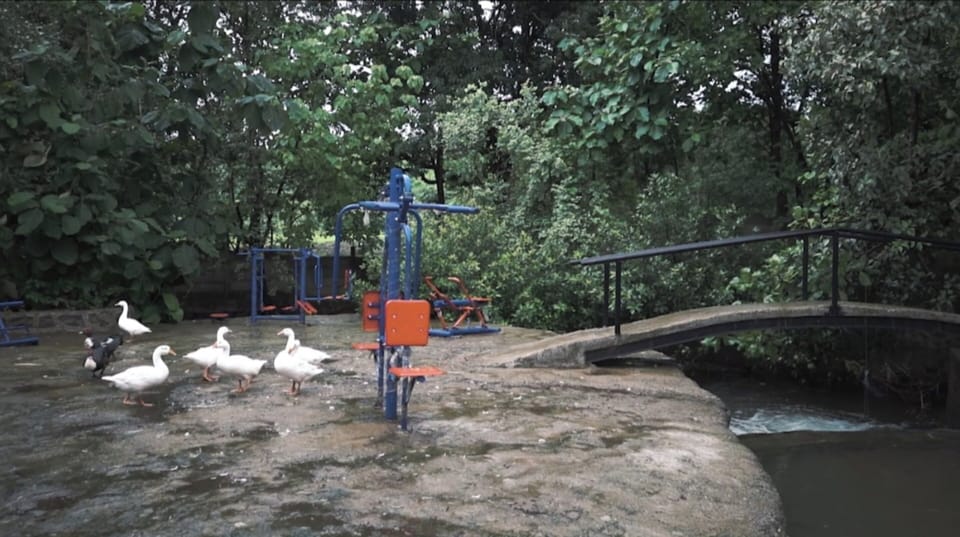 Children's area