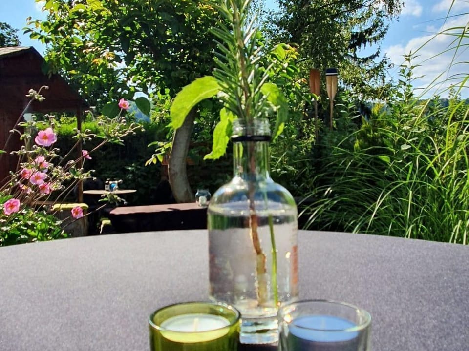Mosel idyll and city flair - Beth vacation apartment - vacation apartment with terrace Apartment in Koblenz