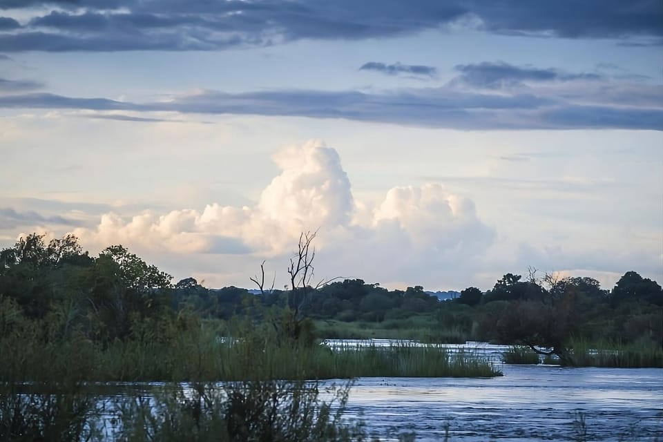 Nearby pond