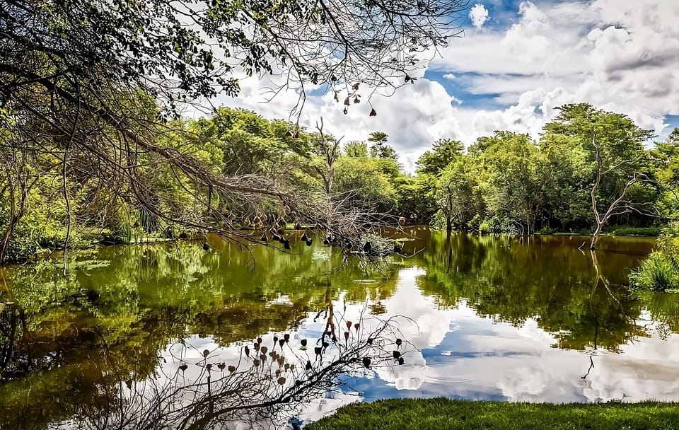 Nearby pond