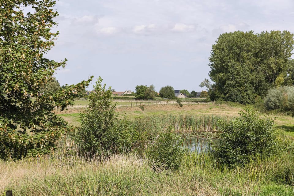 Beautiful domain with fenced pond