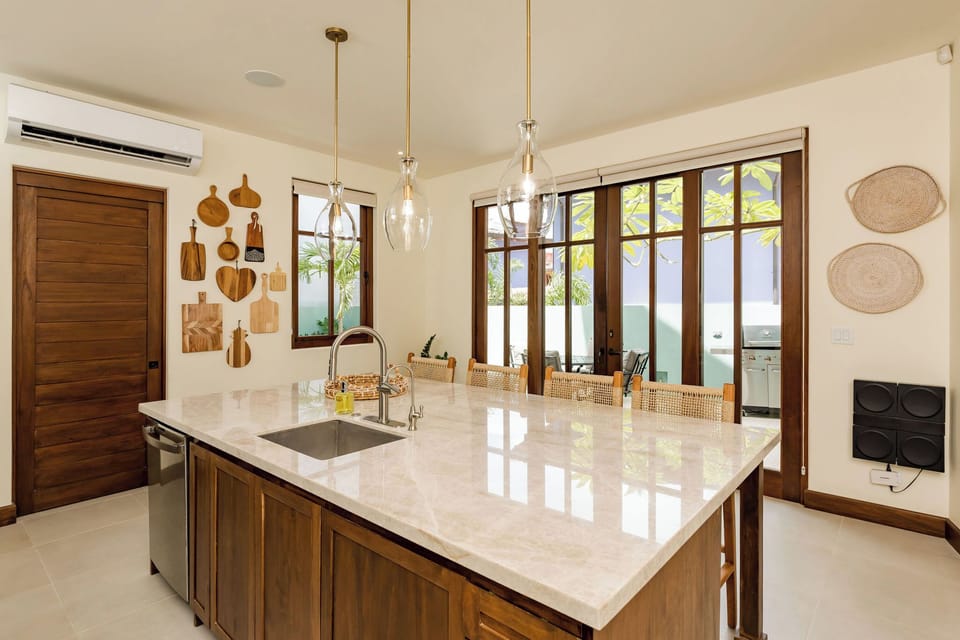 Gourmet kitchen 