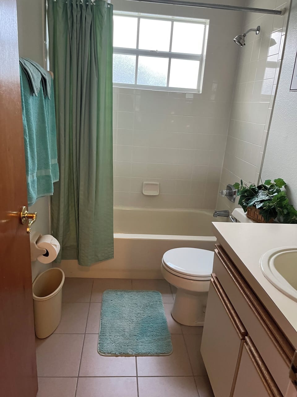 Hall bathroom