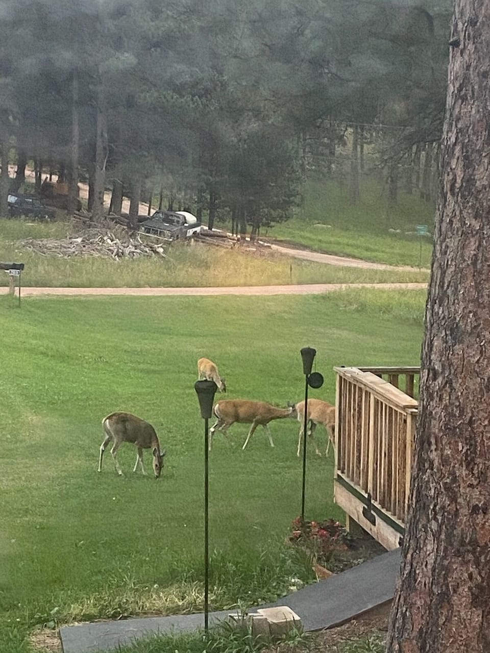 Friendly Visitors
