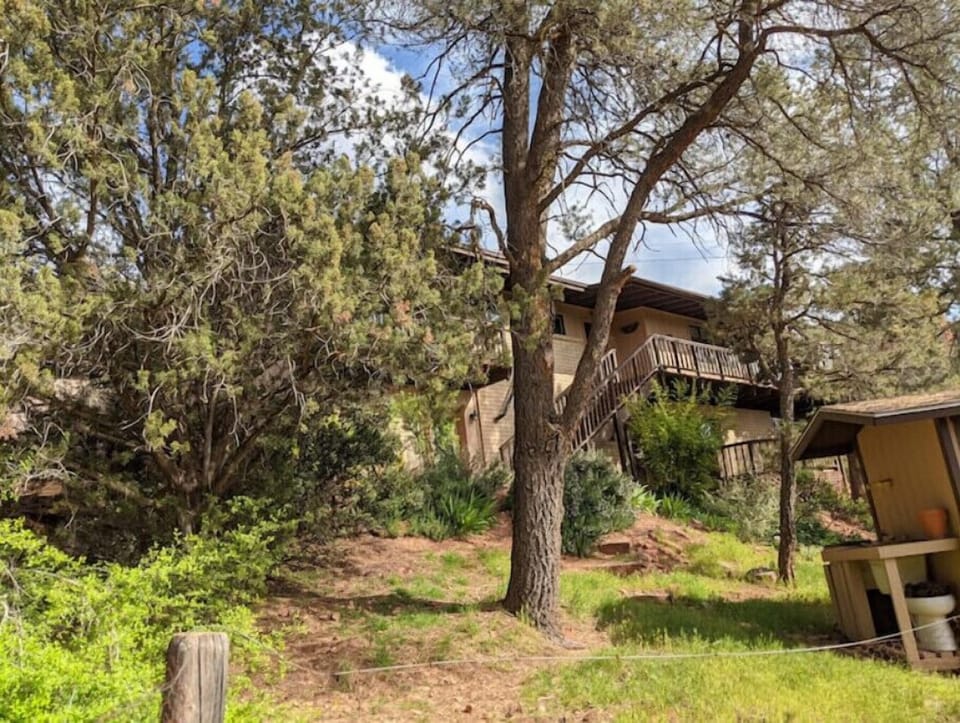 VIEW OF FRONT YARD FROM THE MAIN HOUSE